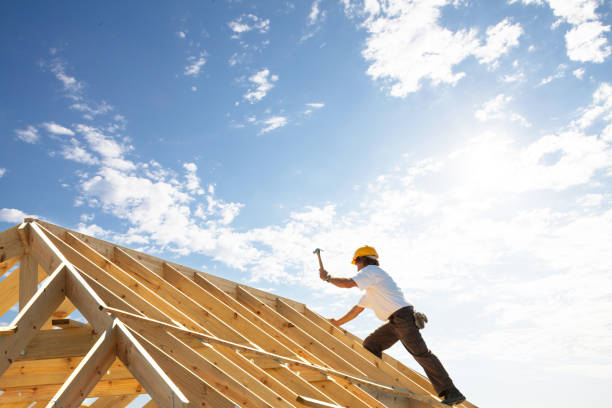 Best Roof Insulation Installation  in Cherokee, IA